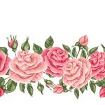 玫瑰 花朵 图案 背景 矢量 