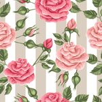 玫瑰 花朵 图案 背景 矢量 