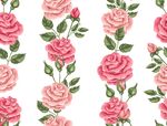 玫瑰 花朵 图案 背景 矢量 