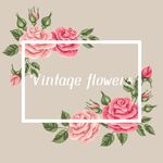 玫瑰 花朵 图案 