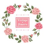 玫瑰 花朵 图案 背景 矢量 