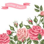 玫瑰 花朵 图案 背景 矢量 