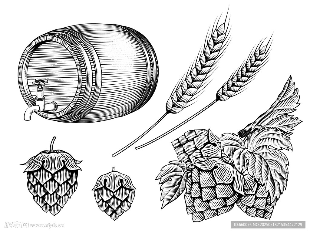 工艺啤酒 麦穗 啤酒花 插画 