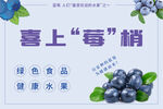 蓝莓海报