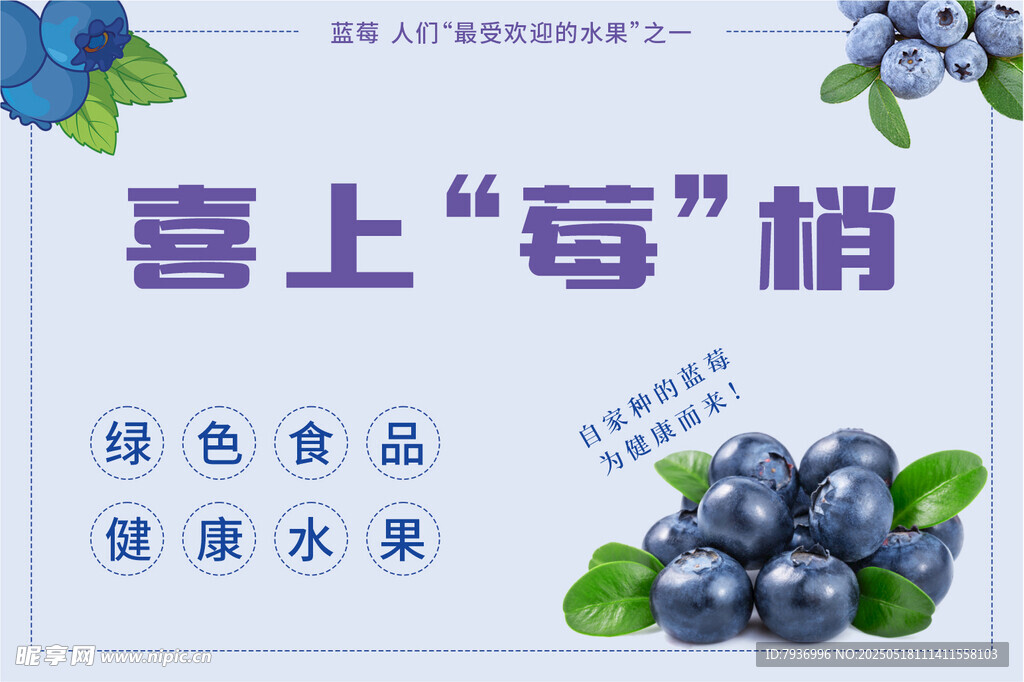 蓝莓海报