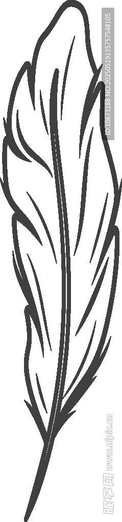 简约线条羽毛插画