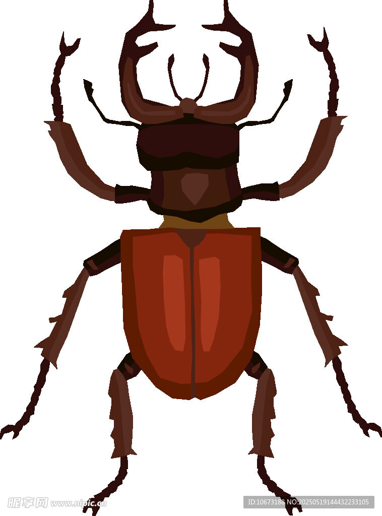 独角仙插画