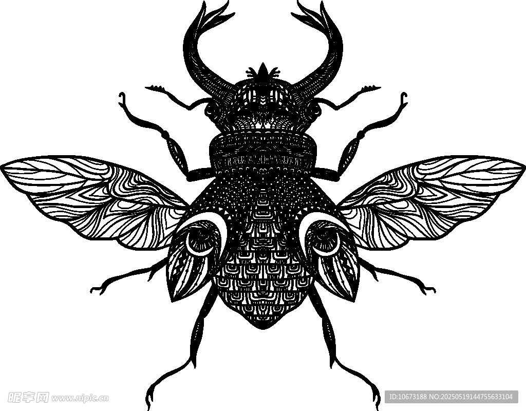 神秘独角飞虫插画图案