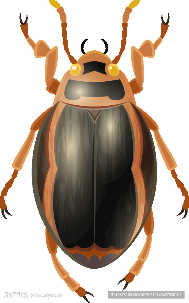 黑色甲虫插画