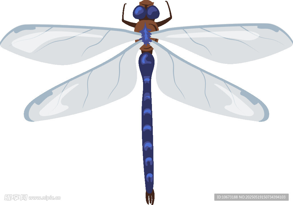 蓝色蜻蜓插画