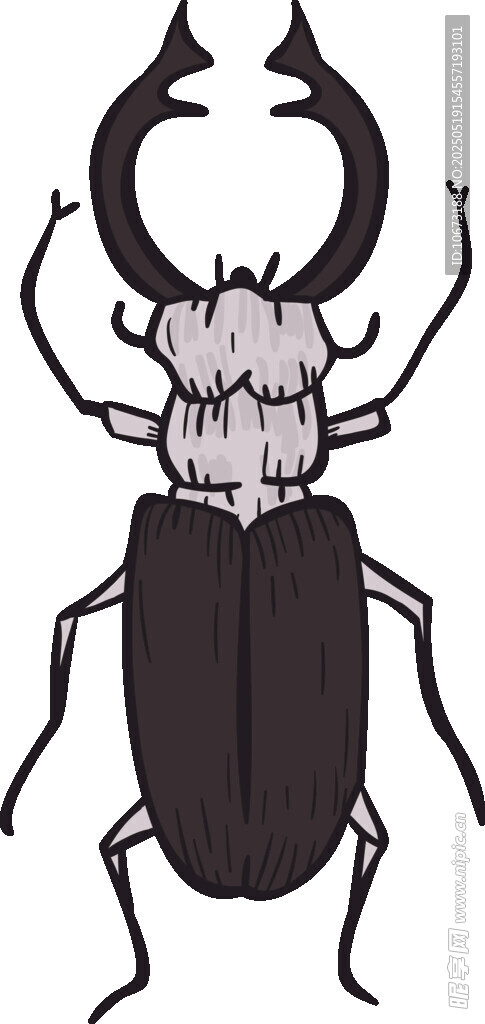 独角甲虫插画