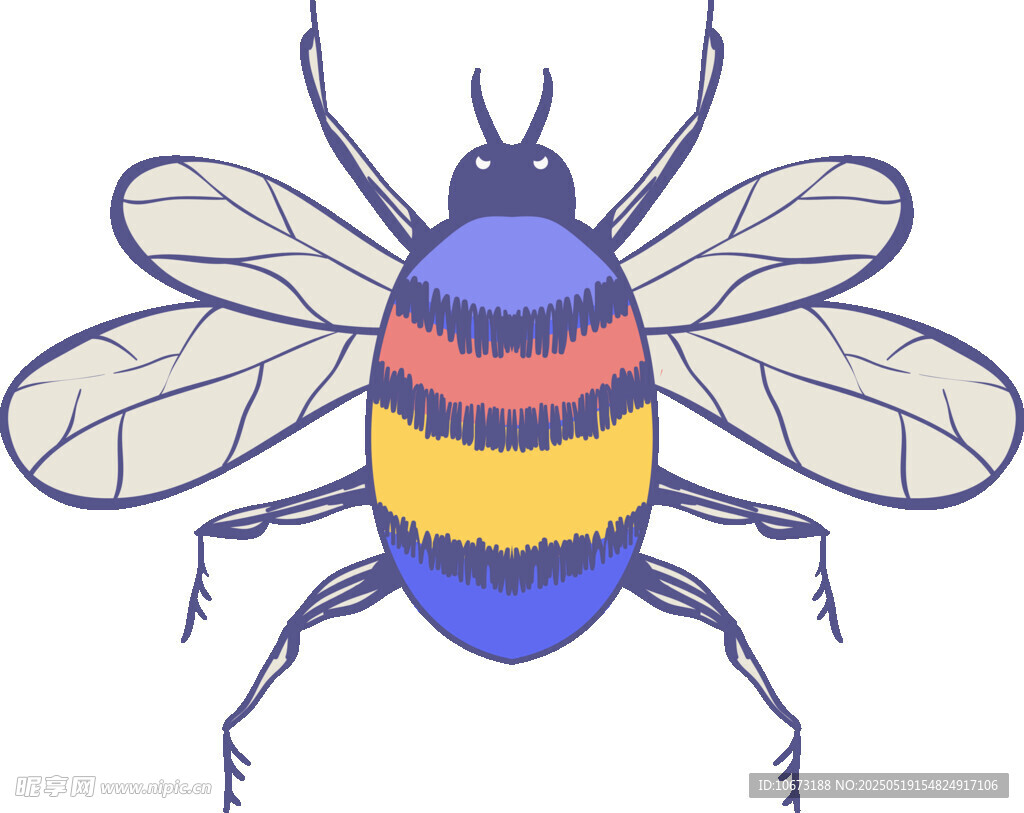 彩色条纹昆虫插画