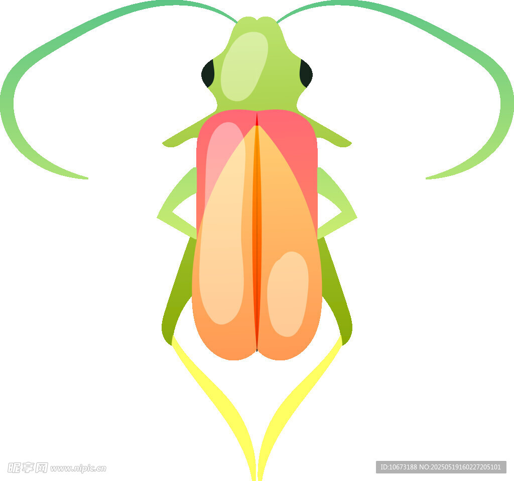 彩色昆虫插画