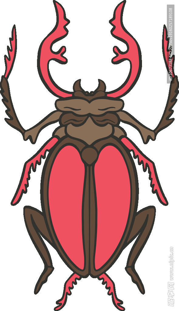 红棕鹿角锹甲虫插画