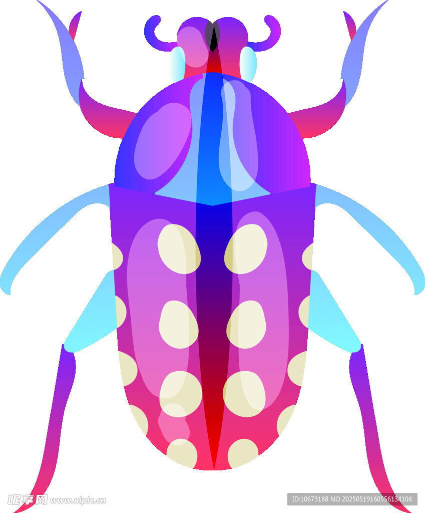 彩色甲虫插画