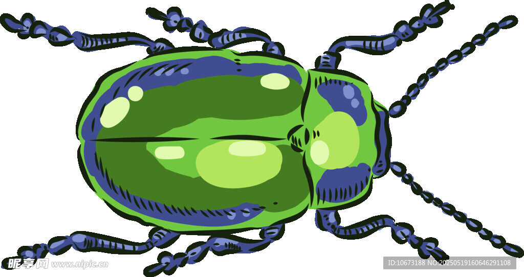绿色甲虫插画
