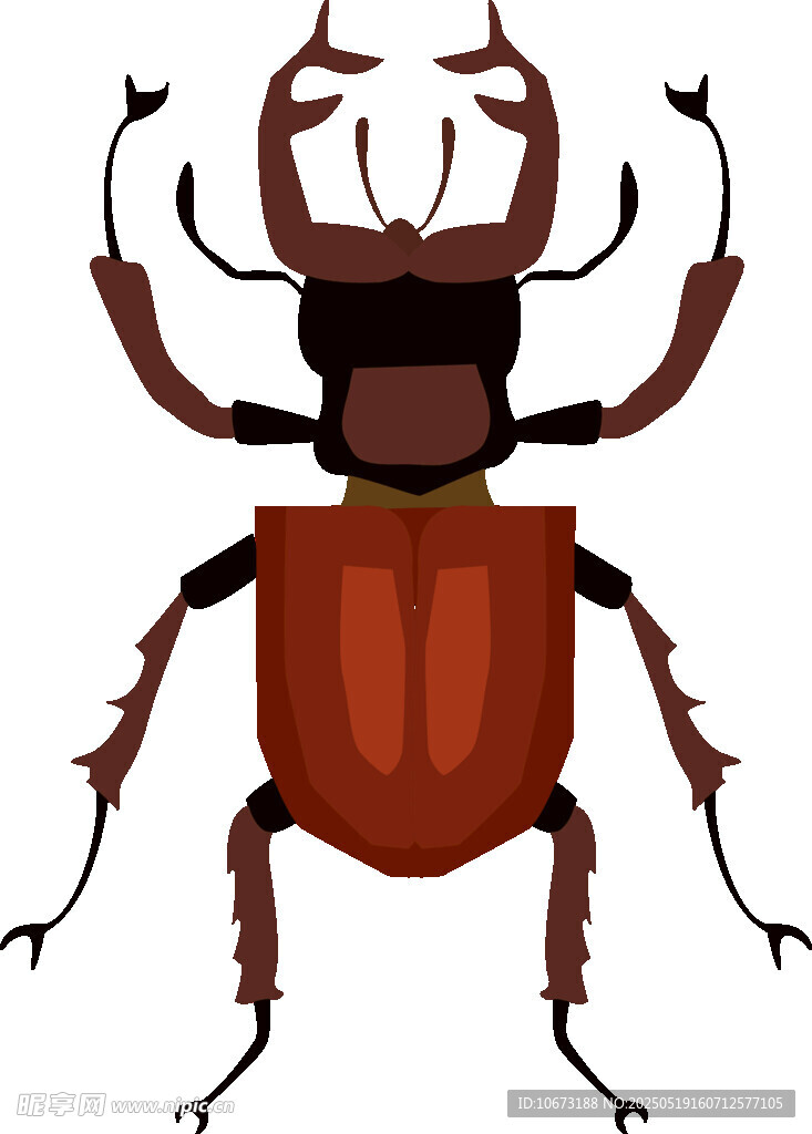 独角仙插画