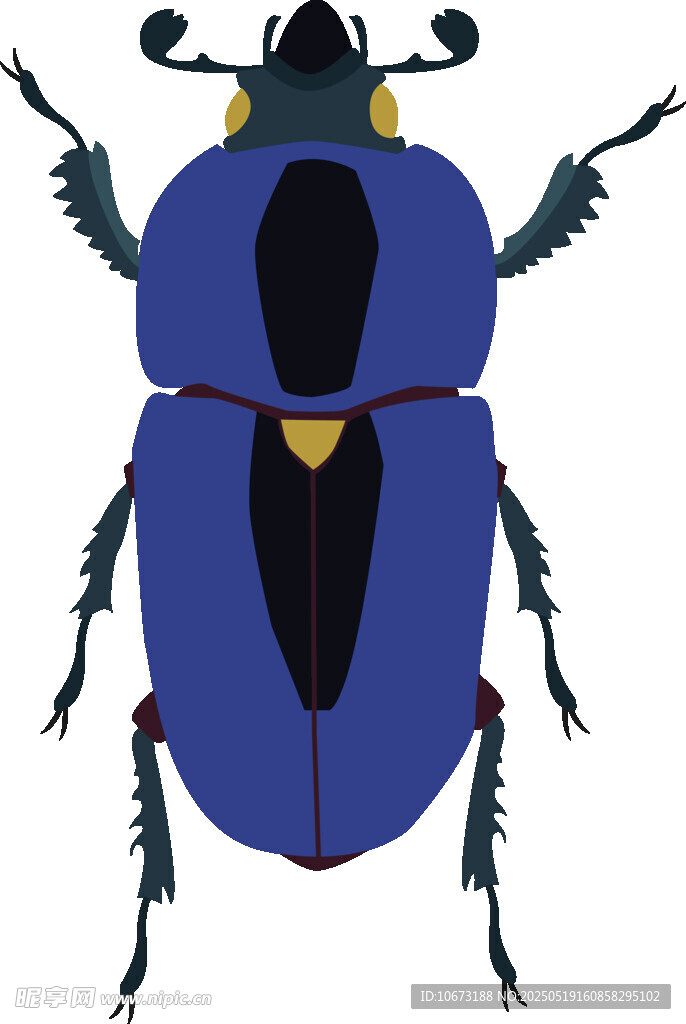蓝色甲虫插画