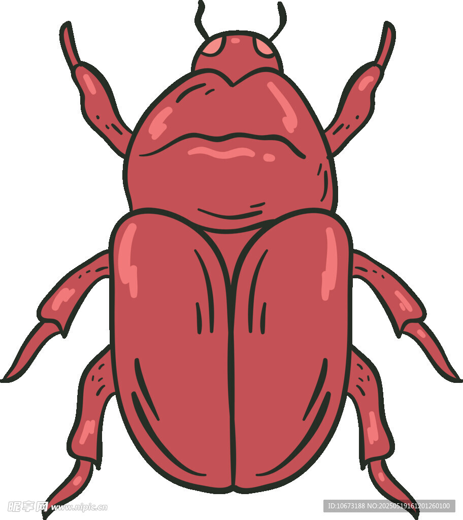 红色甲虫插画
