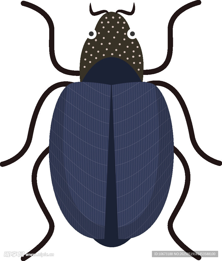 蓝色甲虫插画