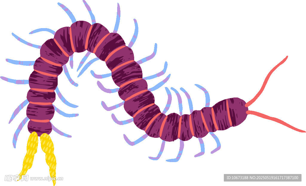 彩色多足蠕虫插画