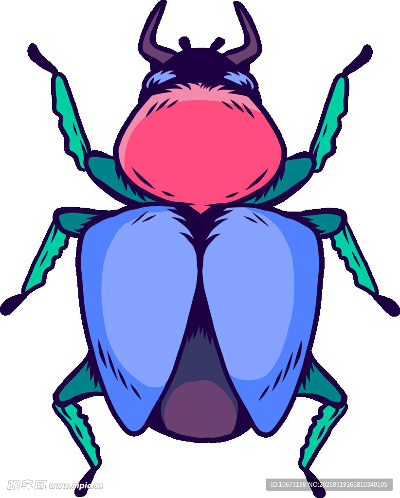 彩色甲虫插画
