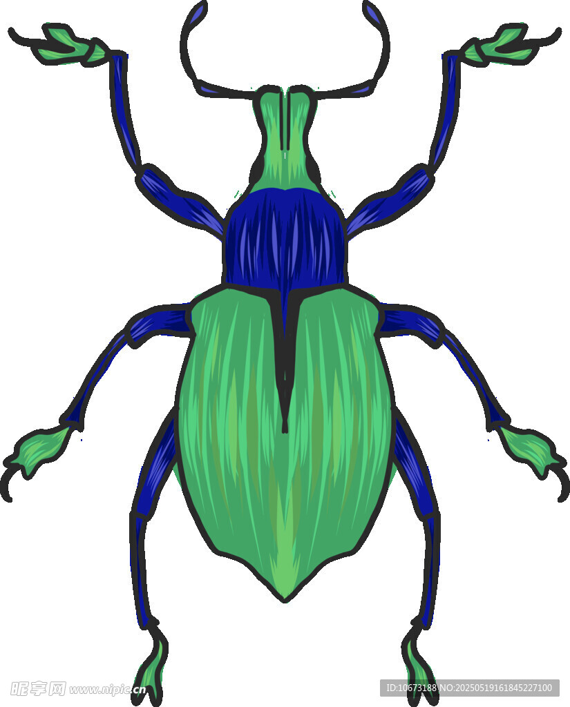 绿色甲虫插画