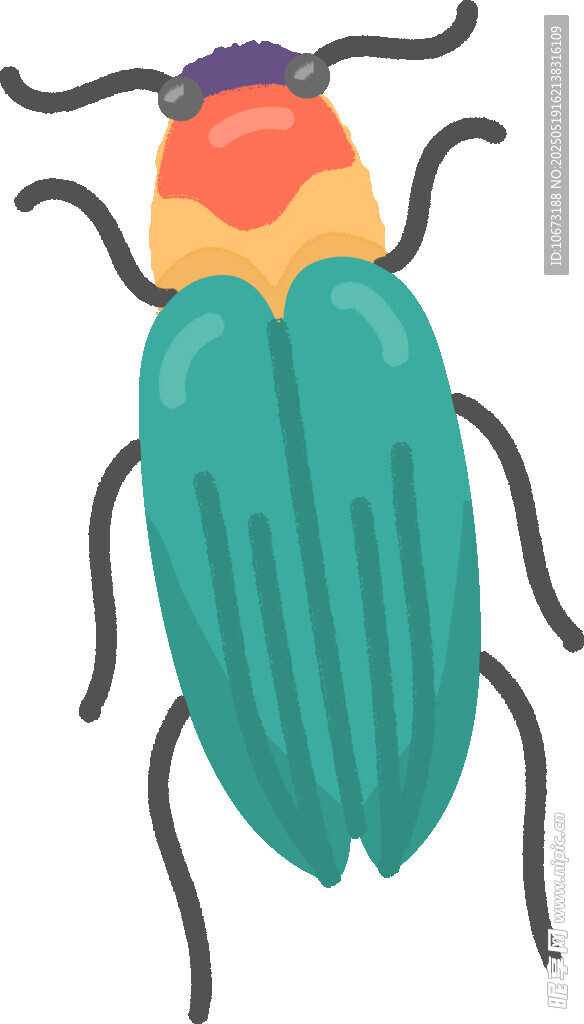 多彩甲虫插画