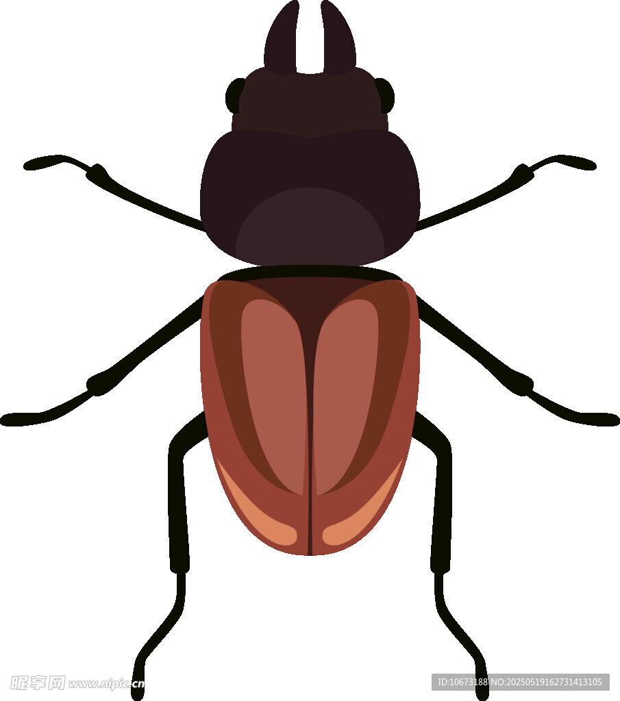 独角甲虫插画