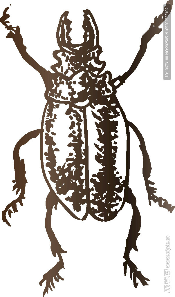 甲虫插画图案设计素材