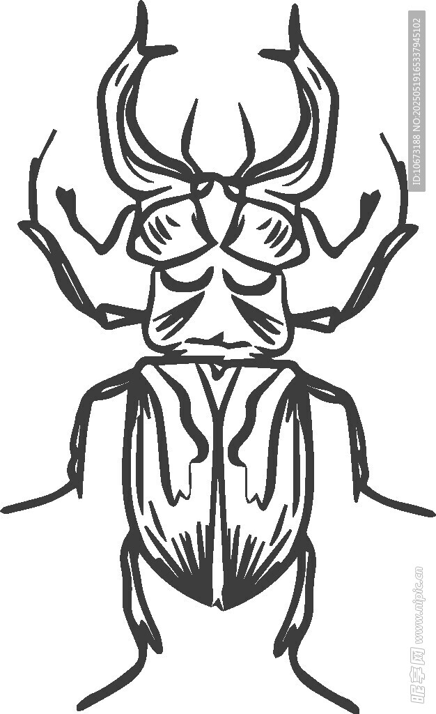 独角仙黑白线条插画
