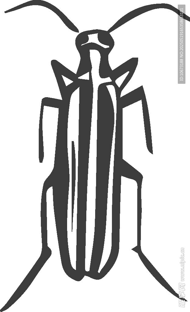 条纹甲虫插画