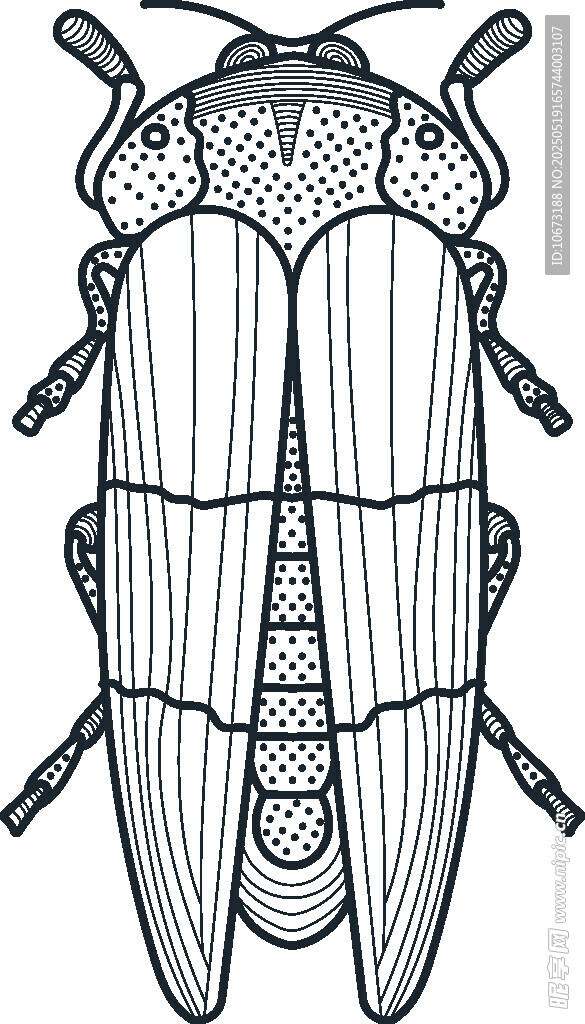 甲虫黑白线条插画