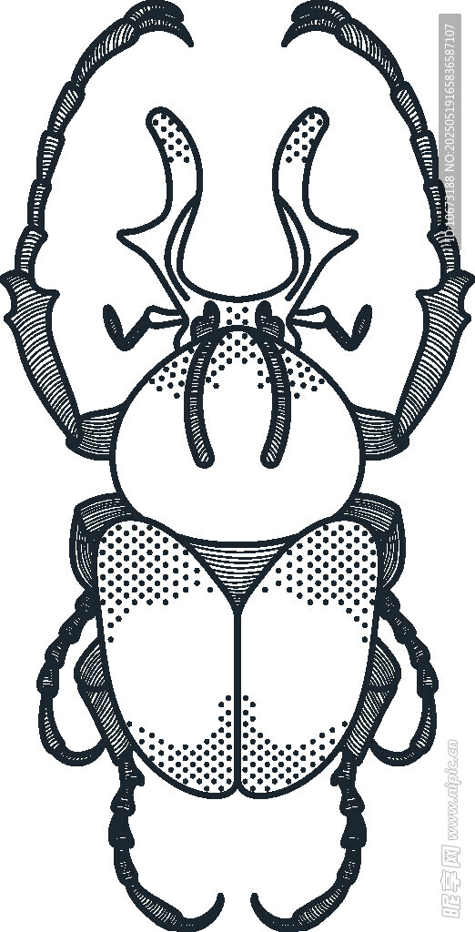 独角仙黑白线条插画