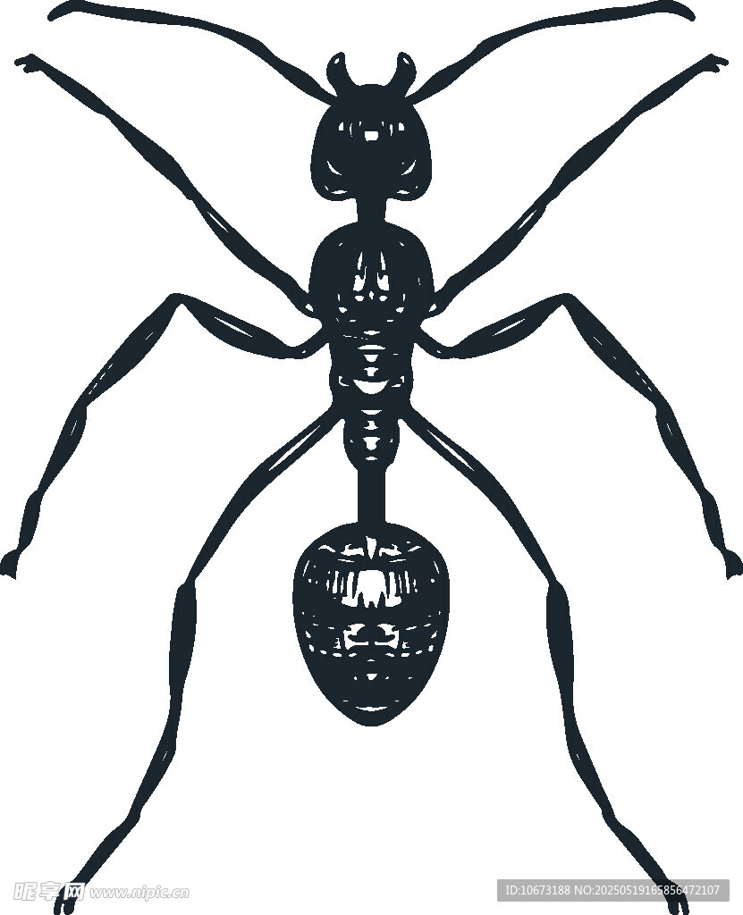 黑色蚂蚁插画