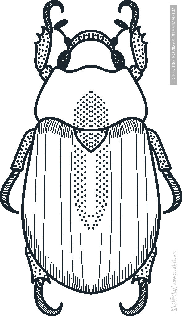 甲虫黑白线条插画