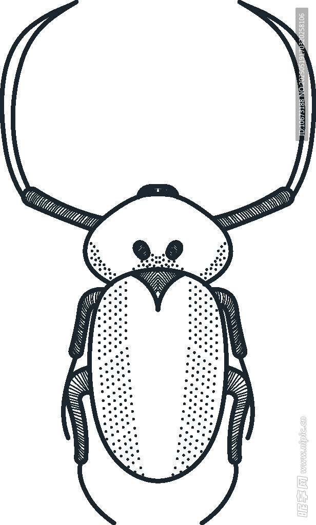 简约线条风甲虫插画