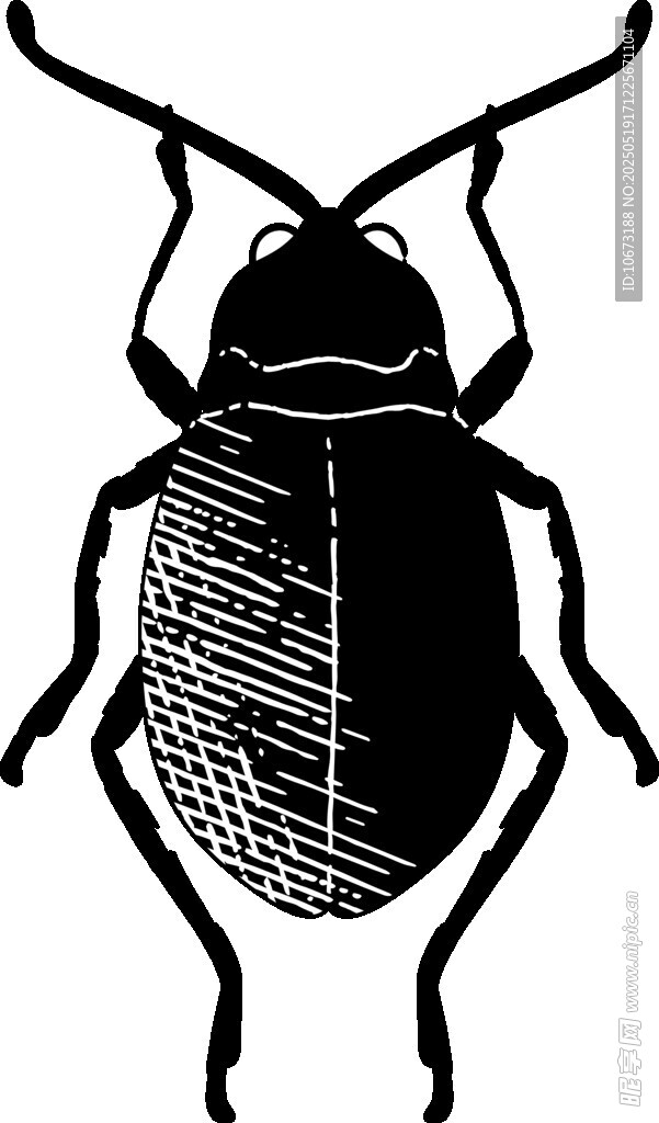 黑色甲虫插画