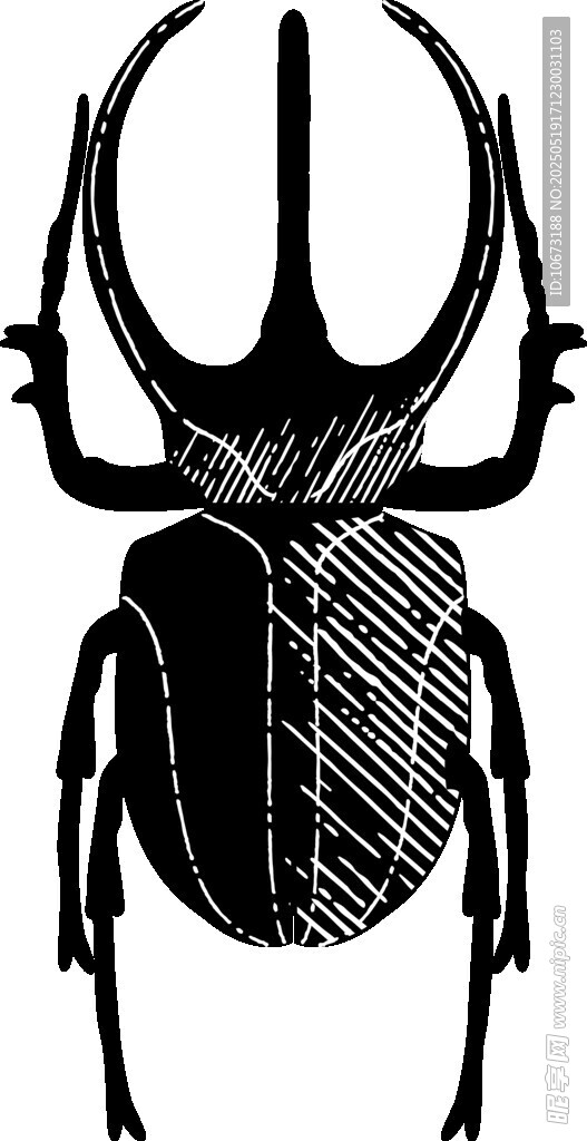 独角仙黑白插画