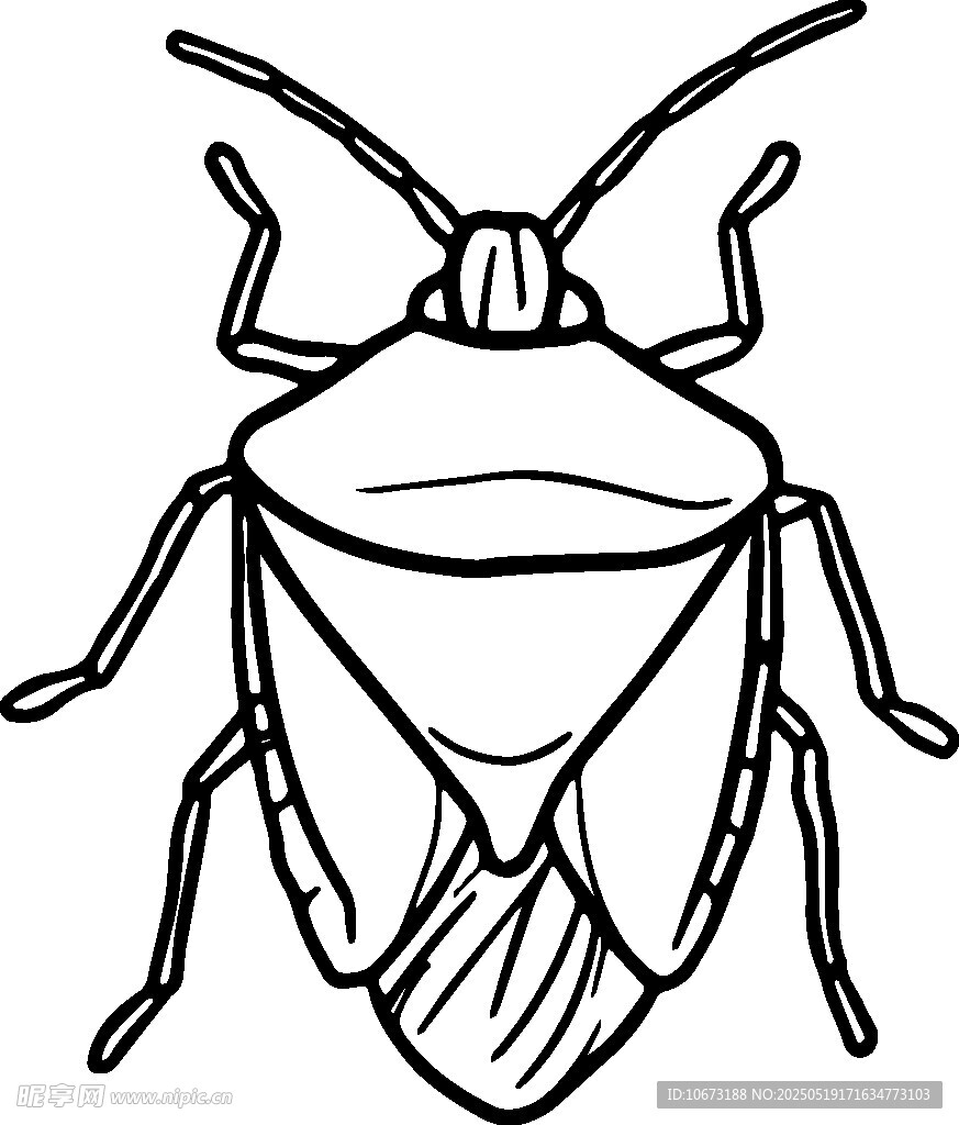 卡通风格盾蝽昆虫插画