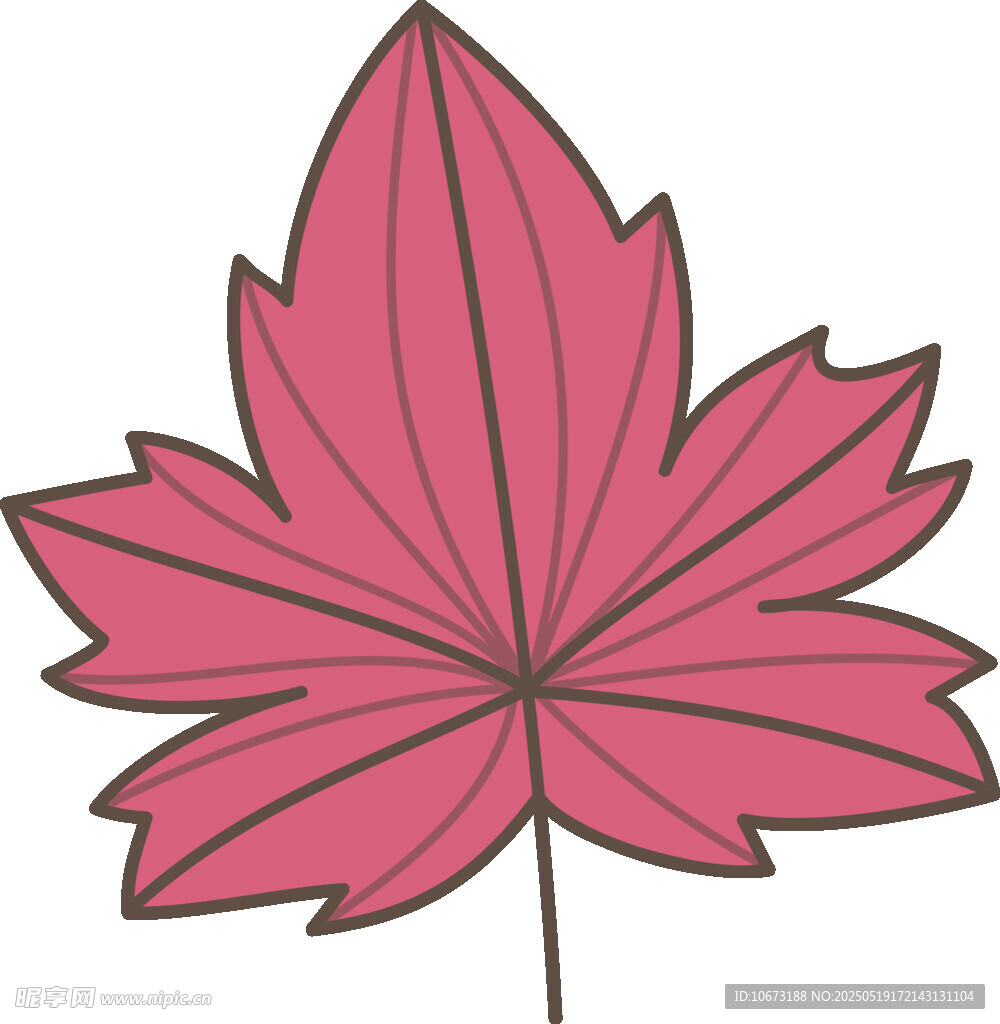粉色枫叶插画