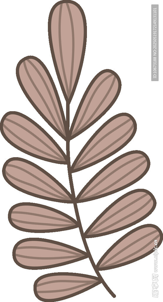 棕色叶片植物插画元素