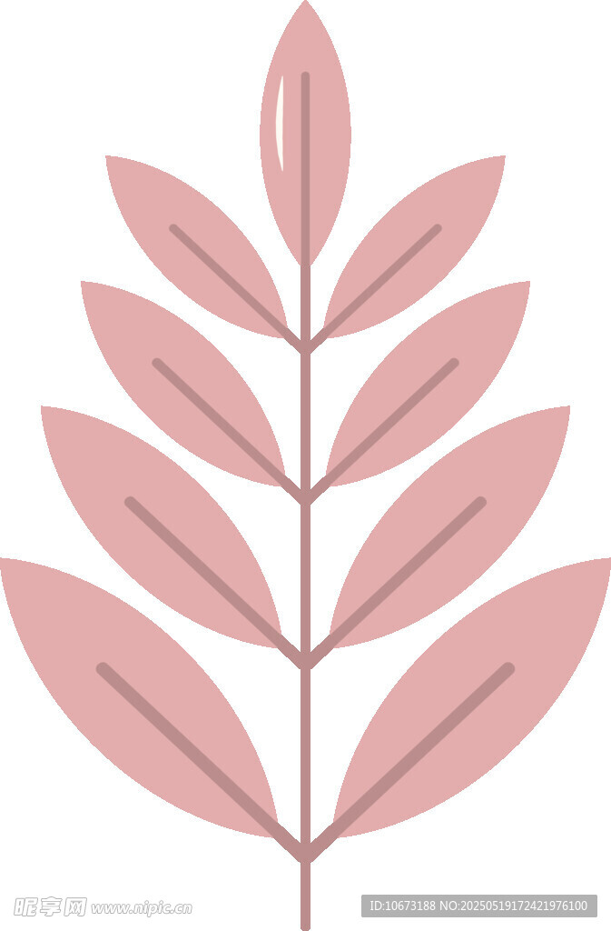 粉色叶片插画