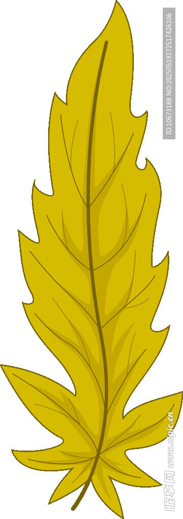 黄色枫叶插画