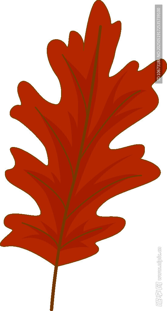红色橡树叶插画