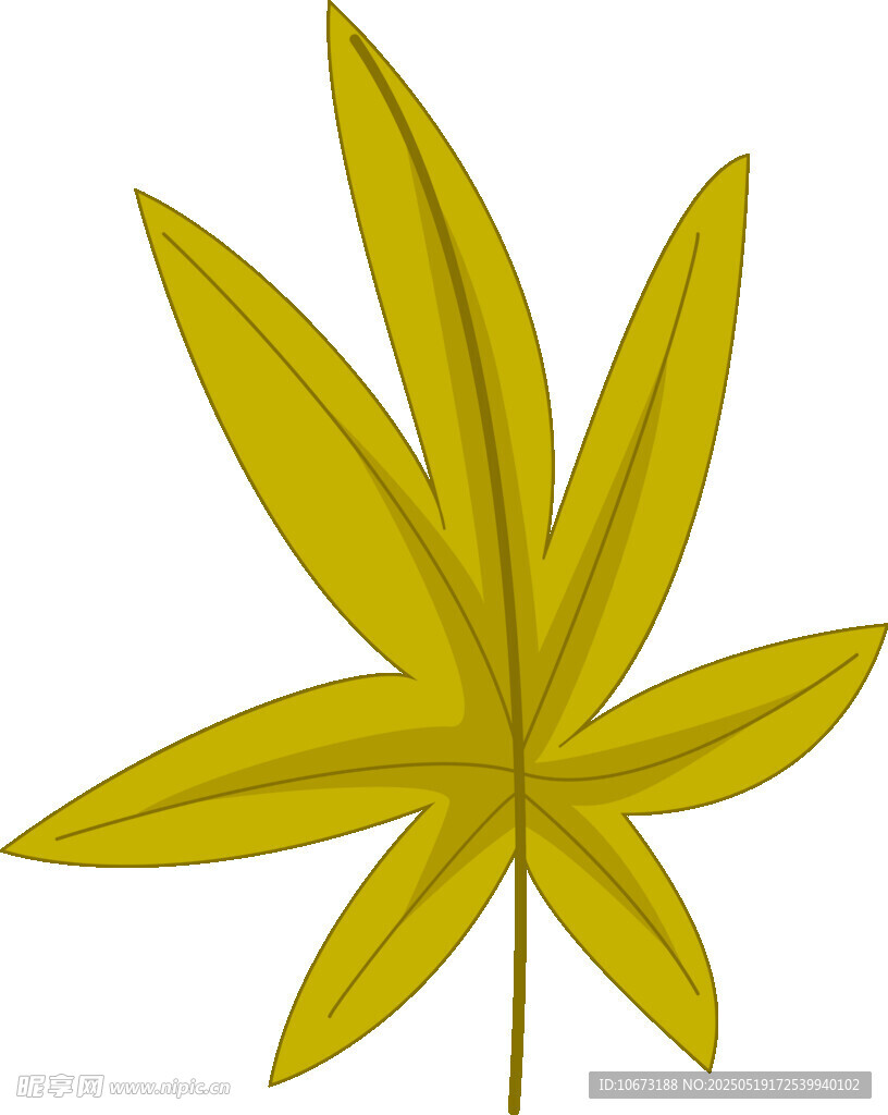 黄色掌状叶片插画