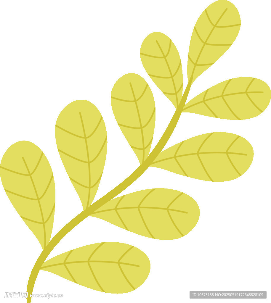 黄色叶片植物插画