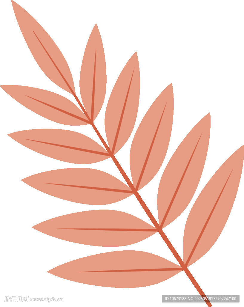 橙红色羽状叶片插画