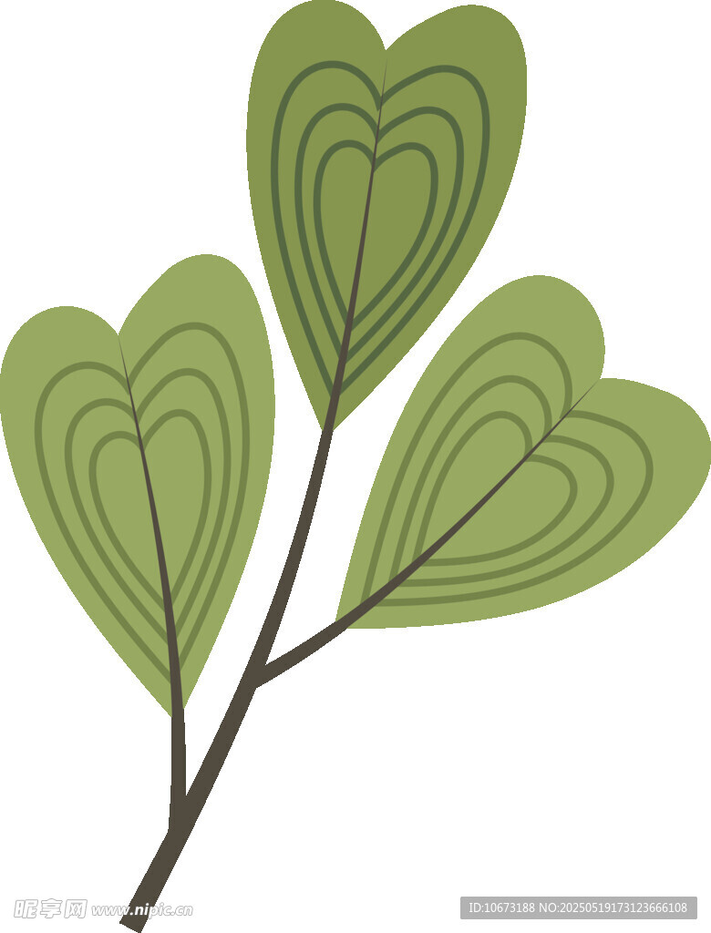 心形叶片植物插画