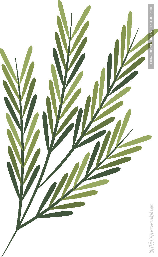 清新手绘绿色植物枝叶